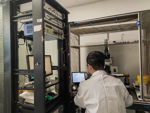 江西科研團隊在焦慮障礙研究領域取得新進展